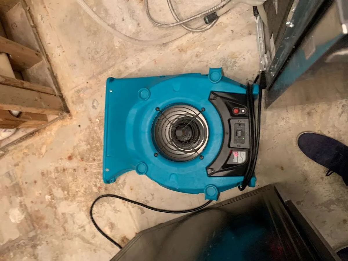 Air mover drying equipment for Mold Remediation & Removal in Blaine